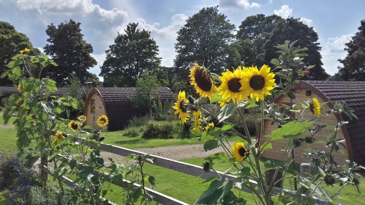 Mallow Glamping Pod Cheltenham Buitenkant foto